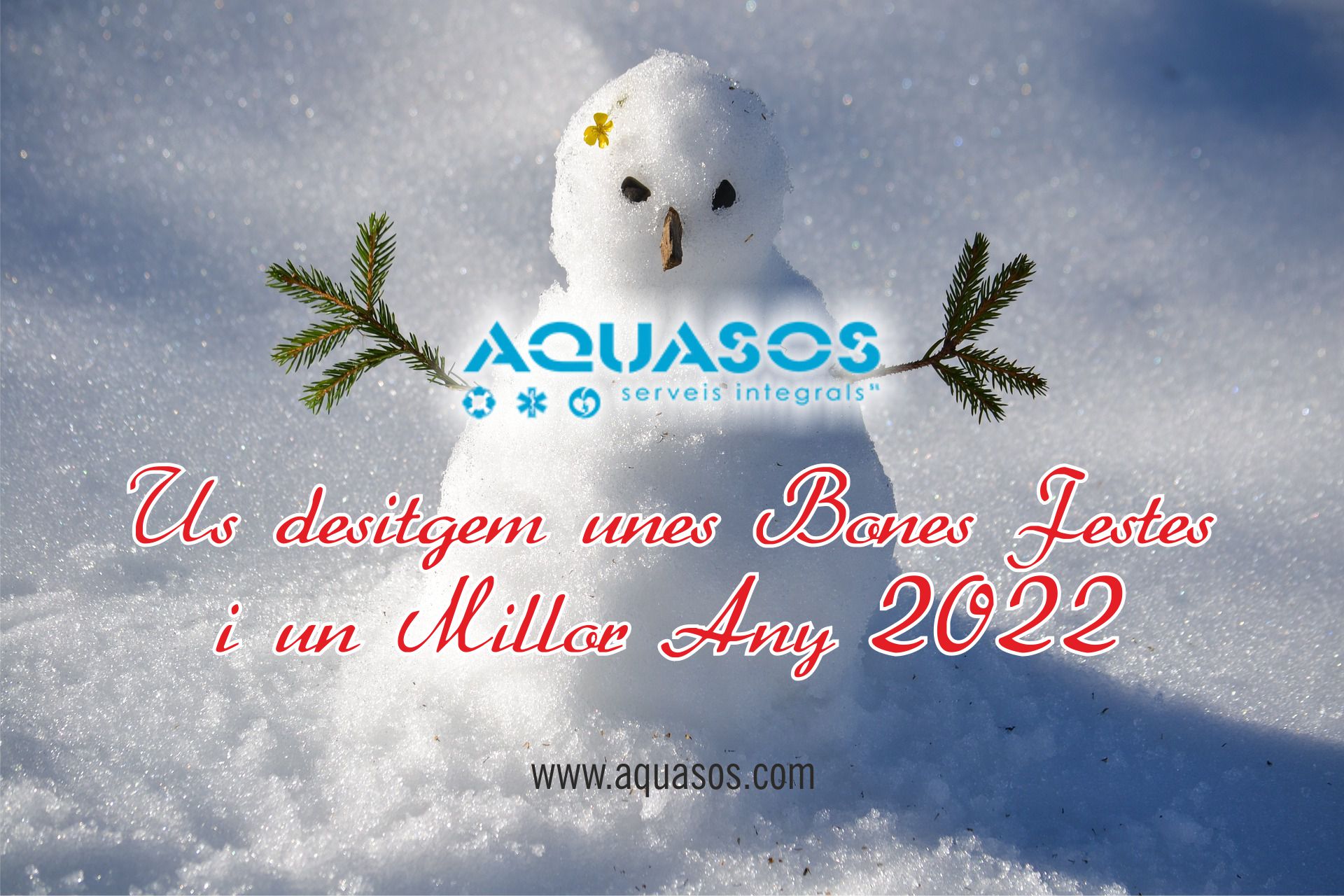 Aquasos Navidad 22