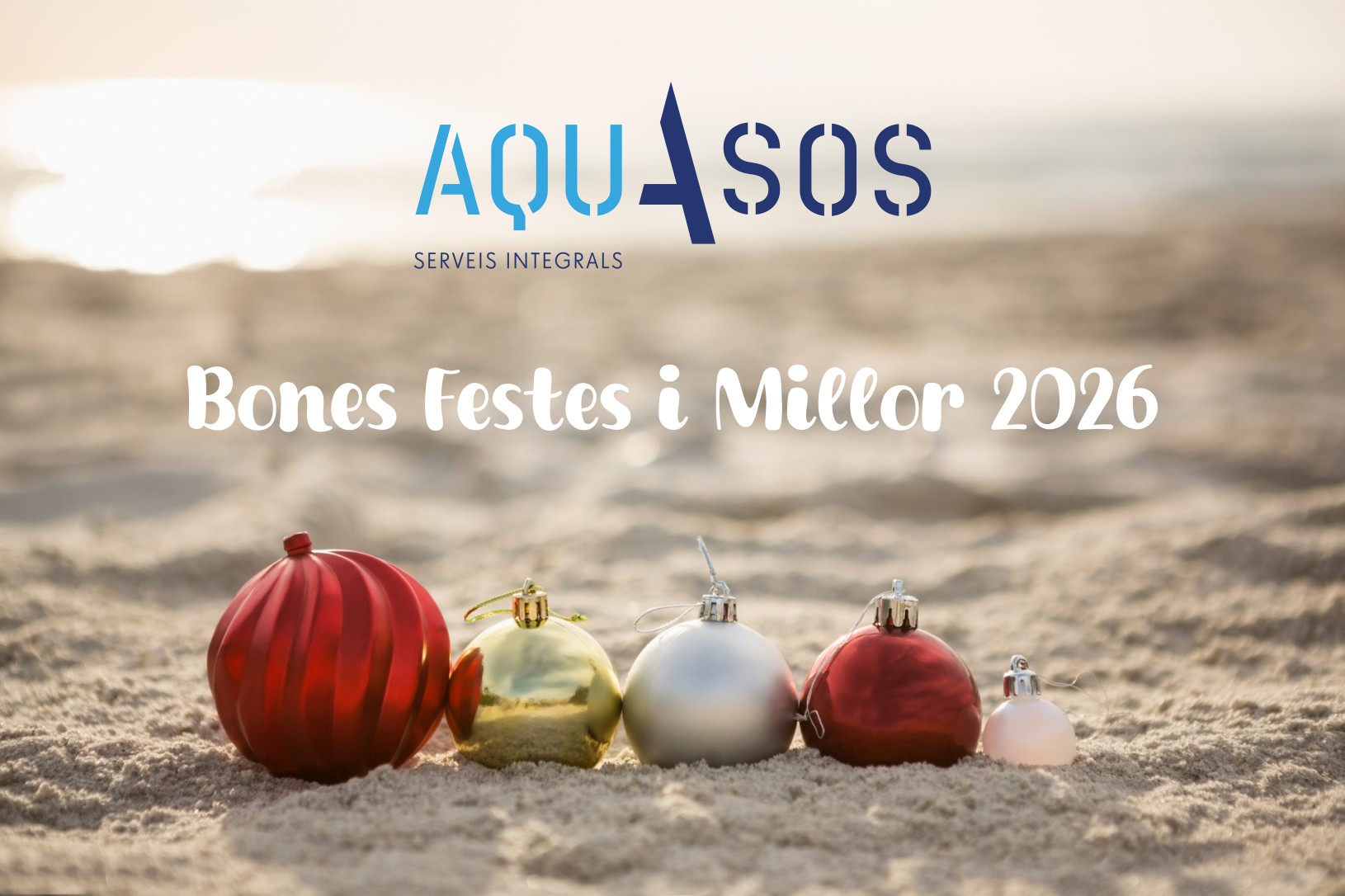 Bones Festes i Millor Any 2026